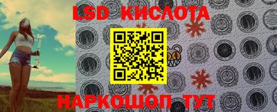 spice Ярославль
